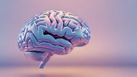 Holographic brain with iridescent surface displaying neural pathways in purple and pink gradient colors for medical education and neuroscience concepts.