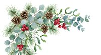 Watercolor Christmas arrangement with pine branches, eucalyptus leaves, red berries and pinecones isolated on white background for holiday design.
