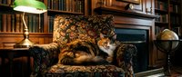 Relaxed man in casual attire lounging in ornate patterned armchair within traditional library setting surrounded by bookshelves, globe, and desk lamp for editorial and lifestyle use.