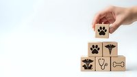 Hand placing wooden blocks with veterinary and pet care symbols including paw prints, stethoscope and medical caduceus on white background.