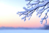 Snow-covered tree branches against a pastel winter sunset sky, creating a serene and peaceful winter landscape scene.