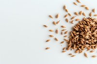 Brown rice grains scattered on white background with copy space, natural organic food ingredients for healthy cooking and nutrition.