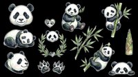 Cute panda bear clipart set with bamboo, paw prints and heart wreath, isolated on transparent background. Great for stickers, t-shirt design, print on demand and sublimation.