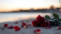 Red roses lying on beach sand at sunset with scattered petals, mountain silhouette and calm water creating romantic seaside atmosphere for Valentine's day or anniversary concept.