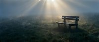 Wooden bench in misty meadow with sunlight rays breaking through fog, solitude and tranquility concept for meditation and nature themes.