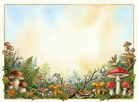 Woodland mushroom border with ferns and foliage on cream background, suitable for invitations, cards, and nature-themed designs.