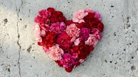 Heart-shaped arrangement of red, pink, and magenta carnations on a gray concrete surface, symbolizing love and romance.
