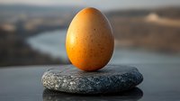 Fresh brown speckled egg balanced on smooth gray river stone against blurred natural landscape background, demonstrating stability and harmony in nature.