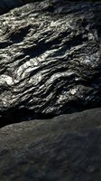 Weathered tree bark with deep textured grooves and natural striations, illuminated by sunlight. Close-up detail of aged wood surface for nature and environmental projects.