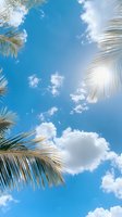 Looking up at bright blue summer sky through palm tree fronds, with white fluffy clouds and sunlight creating tropical paradise atmosphere.