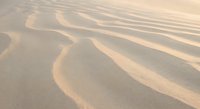 Golden sand dunes with flowing ripple patterns created by wind erosion in desert landscape during warm sunset light for nature backgrounds.