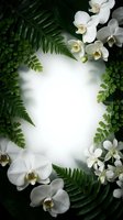 White orchids and green ferns create elegant floral frame border with copy space for text, spa wellness design, natural botanical background composition.