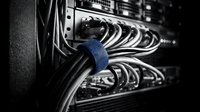 Network server cables organized with blue cable management tie in data center rack for IT infrastructure and connectivity solutions.