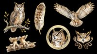 Owl illustrations in vintage engraving style, isolated on transparent background. Perfect for t-shirt designs, clipart, stickers, print-on-demand products, sublimation, and digital crafts. Six detailed owl variations including perched, flying, and decorative circular designs.