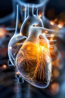 Glowing anatomical heart visualization with luminous orange energy and detailed arterial system against dark background, medical science concept.