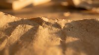 Golden sand dunes with warm sunlight creating dramatic shadows and textures across desert landscape during sunset or sunrise hours.