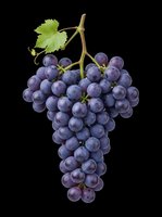 Fresh dark purple grape bunch with green leaf, isolated on transparent background, ready for stickers, print on demand, T-shirt design, clipart, and sublimation use.