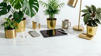 Workspace with potted plants in brass planters, tablet, smartphone, and gold desk lamp on marble surface for modern office design.