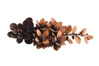 Decorative copper metal flowers arrangement on white background, featuring detailed layered petals and branch design. Isolated metallic botanical art piece.