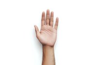 Raised open palm of Asian woman showing five fingers gesture on white background, isolated hand ready for design and commercial use.