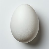 Single white chicken egg on light background with soft shadow, minimalist composition for food and cooking concepts, isolated product photography.
