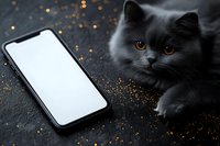 Gray British shorthair cat lying near smartphone with blank white screen on dark background with golden glitter sparkles, moody atmospheric lighting.