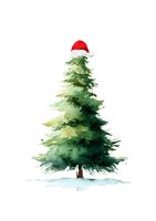 Watercolor evergreen pine tree with red Santa hat on white background, festive holiday season artwork for greeting cards and seasonal designs.