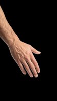 Male hand with arm extended downward, isolated on transparent background, ready for design use in presentations, websites, educational materials, and digital graphics.