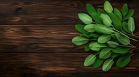 Fresh green bay leaves arranged on dark wooden rustic background with copy space. Natural spice and herb ingredient for cooking and seasoning.
