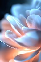 Ethereal abstract macro photography of glowing petals in soft blue and coral tones creating dreamy atmospheric composition with gentle curves and light effects.