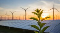 Green plant growing in renewable energy field with solar panels and wind turbines at sunset representing sustainable development and clean technology.