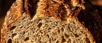 Freshly baked artisan bread with crispy golden crust and airy crumb structure, ideal for bakery, food, and culinary content.