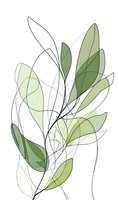 Minimalist green leaves line art on white background, transparent watercolor style botanical illustration with delicate flowing lines and soft shapes. Isolated design element.