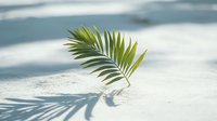 Single palm leaf casting shadow on white sand beach with soft blue ocean waves in background, minimal summer composition for wellness and spa designs.