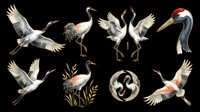 Crane birds isolated on transparent background, ready for t-shirt design, clipart, stickers, sublimation and print-on-demand products.