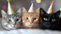 Three cats wearing colorful party hats with glitter and sprinkles, gray tabby, orange tabby, and black cat with bright eyes against blurred festive background.
