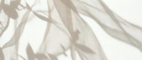 Soft shadows of leaves and sheer fabric on a light beige wall, creating a delicate, airy texture for backgrounds and design projects.