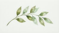 Watercolor botanical branch with green leaves isolated on white background, suitable for design projects, invitations, and decorative applications.