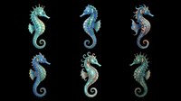 Six colorful seahorse clipart designs isolated on transparent background, ready for stickers, t-shirt design, print on demand, and sublimation projects.