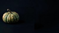 Green striped decorative gourd with stem isolated on dark background, suitable for autumn, fall, and Halloween design projects.
