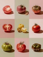 Colorful heirloom tomato varieties in grid layout showing whole and sliced specimens against pastel pink and green backgrounds.