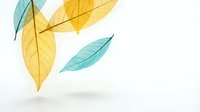 Transparent autumn leaves in yellow and turquoise colors floating on white background, isolated botanical elements for seasonal design projects.