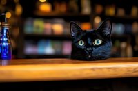 Curious black cat with bright green eyes peering over wooden bar counter against blurred pub background with warm ambient lighting and decorative bottle.