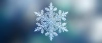 Intricate snowflake crystal with delicate branching patterns against soft blurred background for winter holiday designs and seasonal decorations.