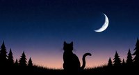 Black cat silhouette sitting in grass under crescent moon and starry night sky surrounded by evergreen forest trees, suitable for wildlife and nature backgrounds.