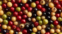 Fresh colorful peppercorns mix of black, white, green, and pink varieties scattered on dark background, macro food photography for culinary designs.