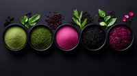 Vibrant superfood powders in black bowls with fresh herbs and berries arranged in row on dark background, featuring matcha, spirulina, dragonfruit, charcoal and beetroot.