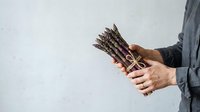 Farmer holding fresh asparagus bunch with twine against white background. Suitable for organic produce, agriculture, and food marketing materials.