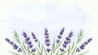 Watercolor lavender flowers with green stems arranged in decorative border on light purple background for botanical design projects.