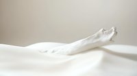 Minimalist white driftwood piece on soft fabric creating gentle curves and shadows against light neutral background, artistic still life composition.